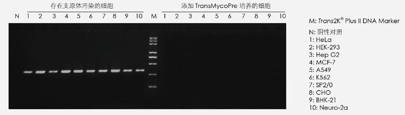 【逛展會零距離】“渝”您共赴中國細胞生物學學會2021年全國學術大會