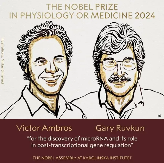 2024年諾貝爾生理學或醫(yī)學獎獲獎者，Victor Ambros和Gary Ruvkun